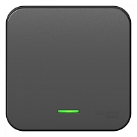 Выключатель Schneider Electric Blanca 1-кл с подсветкой 10А 250В антрацит из.пластина