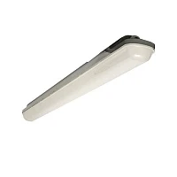 EKF PROxima Светильник светодиодный пылевлагозащищенный ДСП-1009 Айсберг-Э 36Вт 4000К IP65 1200мм